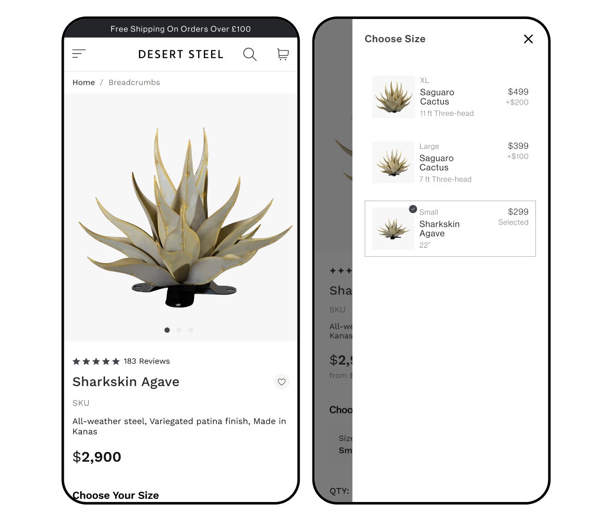 desert steel cactus product page and size selector