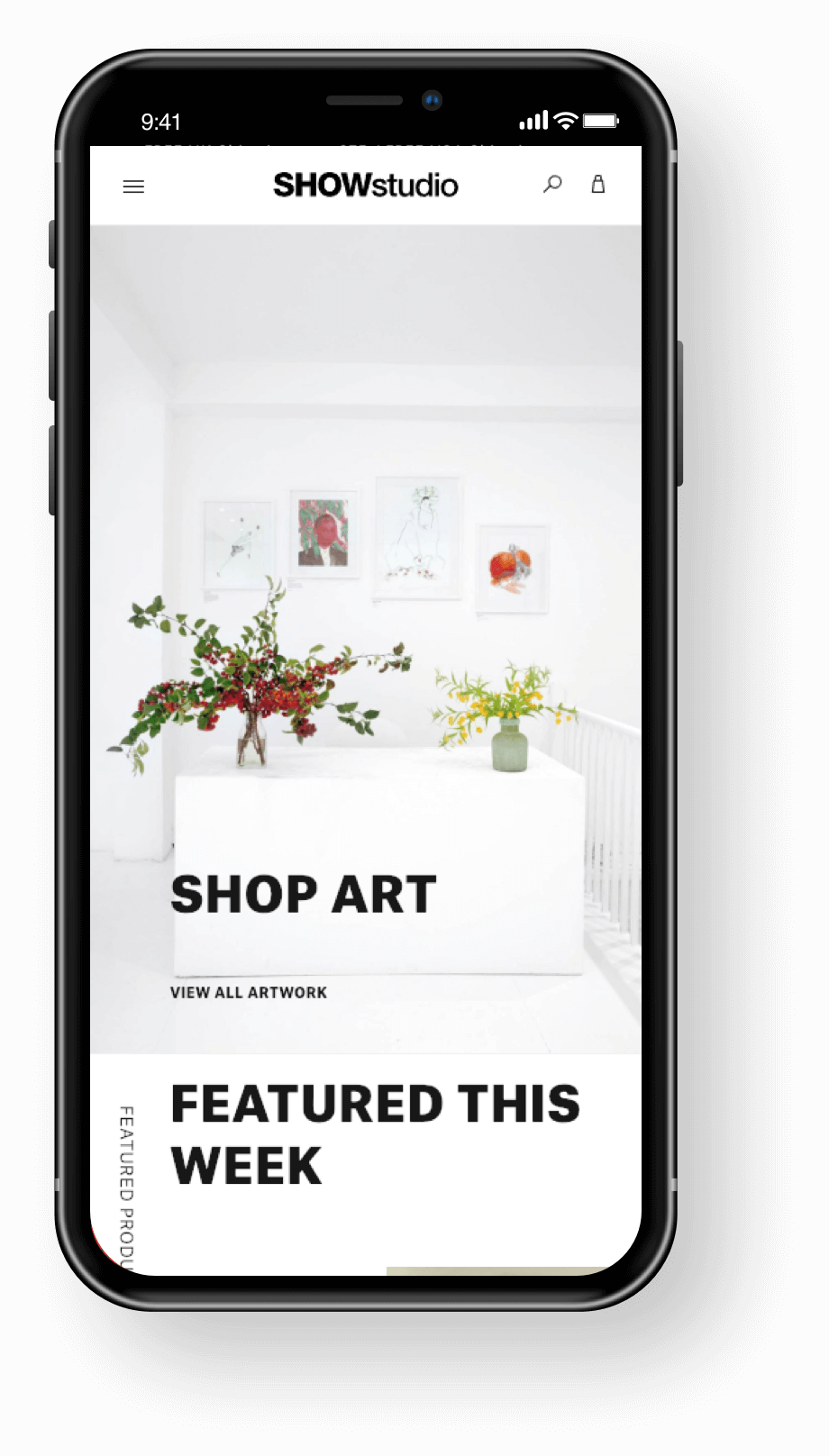 SHOWstudio Mobile Shop Art